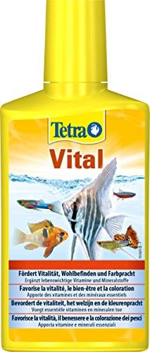 Tetra Vital - fördert Vitalität, Wohlbefinden und Farbpracht bei Fischen, ergänzt lebenswichtige Vitamine und Mineralstoffe, 250 ml Flasche