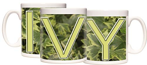 Ivy Mug, Stunning Ivy Design Gift Mug. Ivy Flowers on a Ceramic Mug