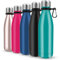 Insulated Water Bottle, Vacuum Stainless Steel & Vacuum Flask Comes with a Cleaning Brush -500ml Stainless Steel Vacuum Bottle, Double Wall Design, Standard Mouth, for Outdoor Sports