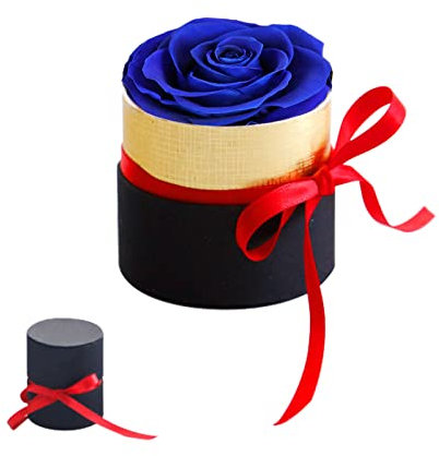 Mini Scatola Regalo Rosa eterna,Blu Rose Stabilizzate Fatte a Mano,Regalo di San Valentino,Rosa Eterna,Fiore Mai Appassito,Rossa Ragazze Regali di nozze,Anniversario,Regali Romantici,regalo per lei