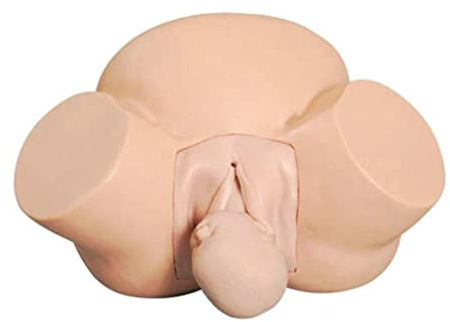 Hebammen-Demonstrationstraining Modell Anatomie Geburtssimulator Puppe, Hebammentraining weiblicher schwangerer Simulator menschlicher Körper für Gynäkologie-Unterrichtsmedizin