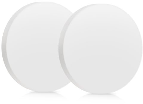 Diatomite Coasters, 2PCS Water Absorbent Diatomite Coasters Fast Drying Stone Sink Tray Soap Holder Dish for Kitchen Tray or Bathroom Soap Cups Drinks Bottles