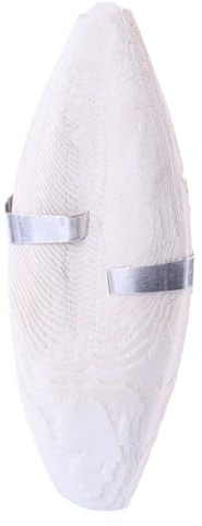 Vogel Sepia Shell - Hühnchenfüller aus Fischknochen Tinte | Mineralstein für Parasiten, Nymphen | Spielzeug für Beak für Reptilien, Schildkröten, Pet Aquarium