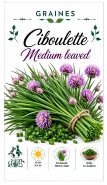 100 Graines de Ciboulette Chives medium : Une Herbe Aromatique Facile à Cultiver