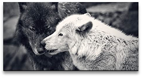 Paul Sinus Leinwandbild 120x60cm Wölfe Schwarz Weiß schöne Tiere Wild Mystisch