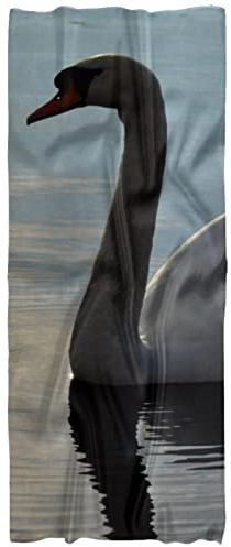 suojapuku Schal für Damen Schals,See und Schwan Druck,weiche Schals Große leichte Schals