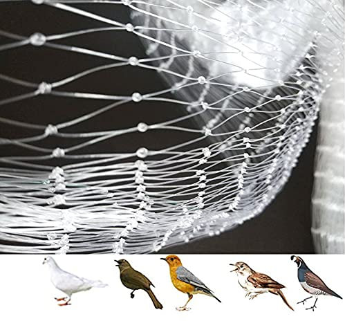 Filet anti-oiseaux de jardin pour arbres fruitiers et buissons, filet anti-pigeons, filet anti-oiseaux pour clôture de plantes de jardin, maille translucide (2,5 cm, 5 m x 15 m)