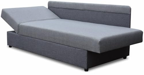 Bonni24 Polsterbett mit Kasten, Klassisches Bettsofa mit Bettkasten, verstellbarem Kopfteil Dawid (Grau, 80x200)