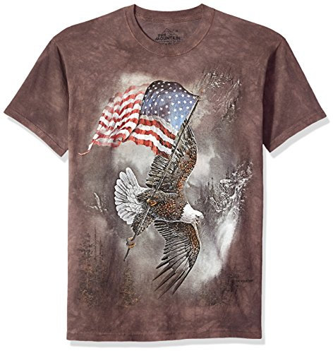 The Mountain Herren Flag Bearing Eagle Tee T-Shirt, grau, Mittel