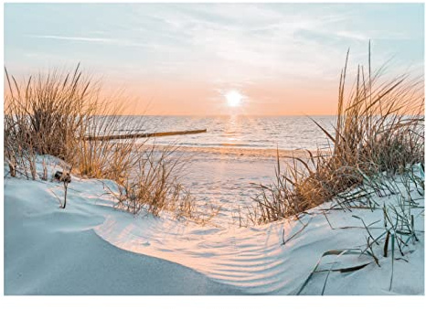 WallArena Vlies Fototapete, Strand, 254x184cm | Fototapeten - Tapeten - für Wohnzimmer Schlafzimmer - Vliestapete Wandtapete Tapete 3D Effekt- inkl. Kleister