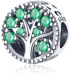 XWN Ciondolo Argento Sterling 925 con Cubic Zirconia Pendenti per Pandora Braccialetti, Compatibile con Braccialetti e Collane europei, perfetto Regali per Moglie e Ragazze