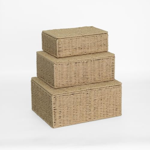 Wickerfield Paper Rope Storage Hamper Basket Box with Lid (Natural, Set: S+M+L)