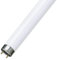 F58W 5FT T8 Fluorescent tube 840 - cool white