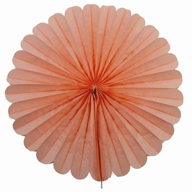 Creativery 1 Papierfächer 20cm (apricot 714) / Deko Papier Fächer Rosetten Blumen Raumdeko Papierrosetten Hängedeko