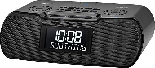 Sangean Radio Reloj, Gris
