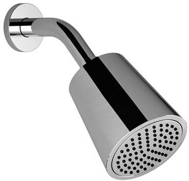Dornbracht Kopfbrause, Ausladung 180-210 mm, 28504979, Farbe: Platin - 28504979-08