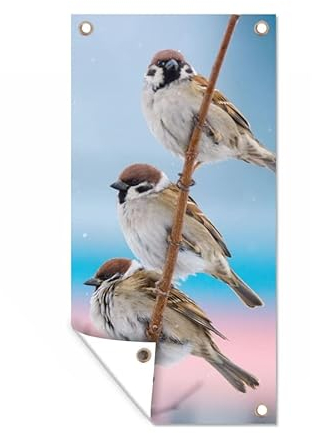 MuchoWow Outdoor-Poster Poster Wanddeko draußen Deko Garten Gartenposter 30x60 cm Vögel - Spatz - Tiere - Äste