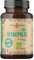 Bio Vitalpilze Mix – 120 Kapseln – 7 Vitalpilze – Reishi – Chaga – Shiitake – Maitake – Lions Mane – Cordyceps Militaris – White Fungus – Mushroom Complex – Vegan