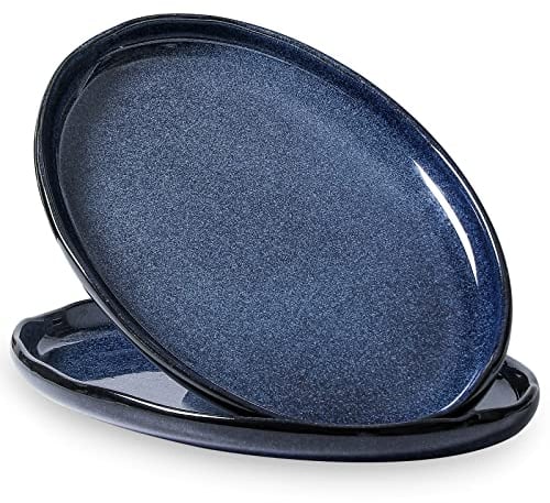 vicrays Serving Platter Ceramic Tray Plates Extra Large Oval 14.5 Inch Porcelain Dinner Plates Long Serving Dish Set Entertaining Party Restaurant Food Meat Sushi Fish Turkey Platter