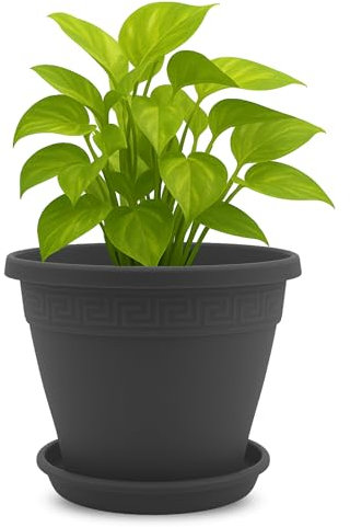 TECHZOCO Macetero con Plato, Maceta Redonda clásica de plástico con Plato, Tiesto para Plantas, Fabricado en Polipropileno, 19 cm Altura x 25 cm Diámetro Superior x 13 cm Diámetro Base, Antracita