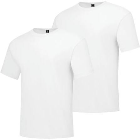 Hanes mens Hanes Men's Beefy Tall Short Sleeve Tee Value Pack (2-pack) fashion t shirts, White, XX-Large Tall US