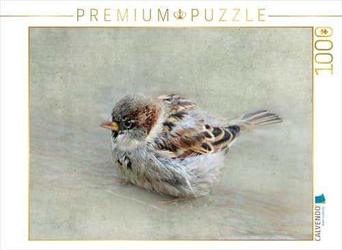 CALVENDO Puzzle Puscheliger Spatz | 1000 Teile Lege-Größe 64 x 48 cm Foto-Puzzle für glückliche Stunden