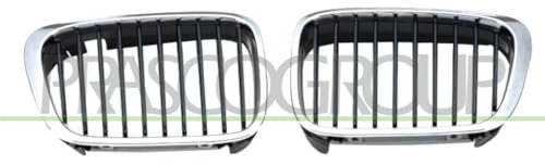 Prasco BM0182013 - Griglia Radiatore