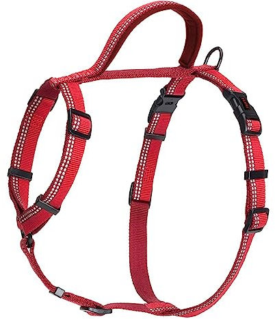 HALTI Walking Hundegeschirr – Mit weichem Neopren-gefüttertem Griff, 5 verstellbare Riemen und 3M-Reflektorgewebe. Geeignet für große Hunde (Größe L, Rot)