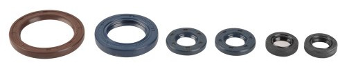 Athena P400270400056 Wellendichtringsatz Motor
