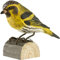 WILDLIFEGARDEN Wildlife Garden WG423 DecoBird Erlenzeisig - Handgeschnitzter Dekorative Vogel aus Holz - Kleine Europäische Vögel