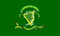 Irland Irish Sons of Erin Go Bragh Flagge, 150 x 90 cm