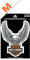 Harley-Davidson Aufkleber Upwing Eagle Grau Mittel