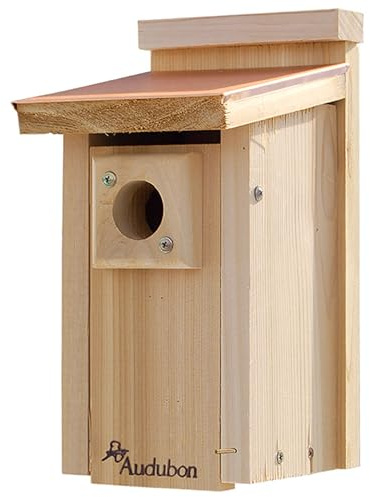 Audubon Coppertop Cedar Wood Bluebird House Model NACOPBB