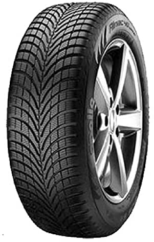 Apollo Alnac 4 G Winter M+S - 205/55R16 91H - Winterreifen