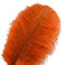 Sowder 10pcs Strauß-Federn 12-14inch (30-35cm) für Haupthochzeits-Dekoration (orange)