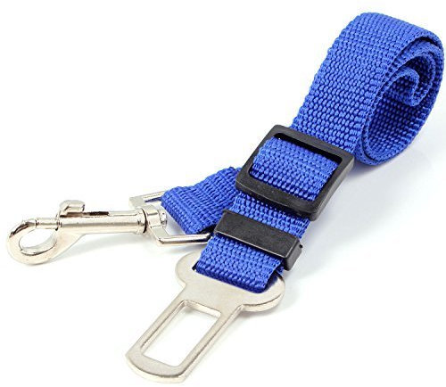 Neuftech Cintura di sicurezza guinzaglio regolabile per cane auto 65cm (Blu)