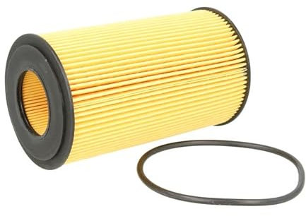 Filtron Oil Filter, oe651/1