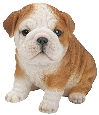 Pet Pals Bulldog Puppy Highly Detailed Home or Garden Decoration | PP-BDOG-F