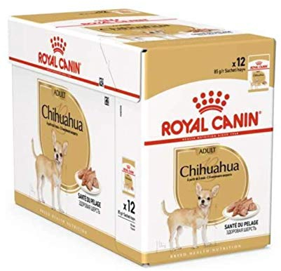 Royal Canin Chihuahua Adult | 12 x 85 g | Nassfutter für ausgewachsene Chihuahuas | Zur Unterstützung der Stuhlqualität und der Zahngesundheit | Hohe Akzeptanz