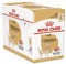 Royal Canin Chihuahua Adult | 12 x 85 g | Nassfutter für ausgewachsene Chihuahuas | Zur Unterstützung der Stuhlqualität und der Zahngesundheit | Hohe Akzeptanz