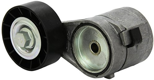 LUK 534010820 Tensioner