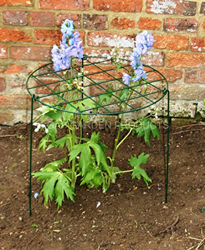 GAP GARDEN PRODUCTS Grow through plant supports 20 Dia. Ring with 30 Tall Legs - Pack of 3 sets of supports Green