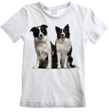 Border Collies Scottish Sheep Dog Kid 's – Kinder-T-Shirt (Alter 3 bis 12) Gr. 9-10 Jahre, weiß