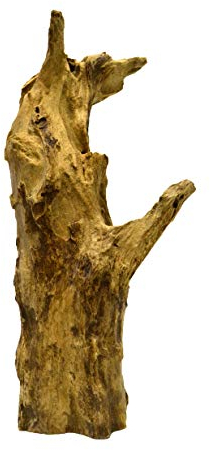 Brillibrum Design Natur Teakholz Wurzel außergewöhnliche Baumwurzel Naturbelassen aus Teak Dekoration für Terrarien & Aquarien Holzwurzel Dekofigur einzigartig Baumstammwurzel Wurzel 2501-3500g