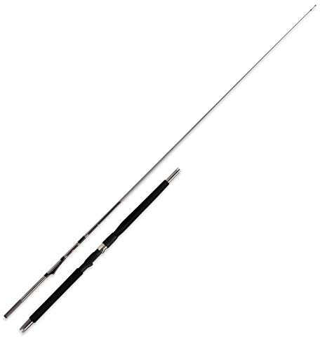 WFT Prion Inline 8' 2,40m 400-1200g