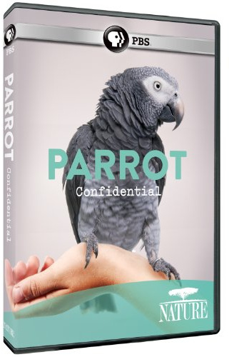 Nature: Parrot Confidential