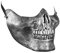 W WIDMANN MILANO Party Fashion 00855 - Metallische Halbmaske für Kinn, Totenköpfe, Halloween, Karneval, Mottoparty