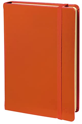 Quo Vadis 23712602NQ Notizbuch, kariert, Orange