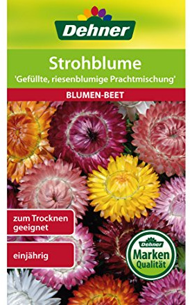 Dehner Blumen-Saatgut, Strohblume Gefüllte, riesenblumige Prachtmischung