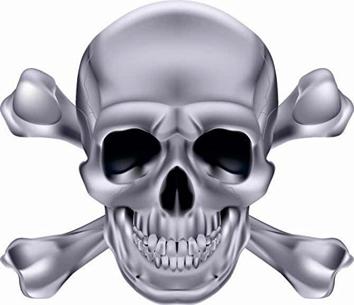 U24 Aufkleber Pirat Totenkopf Silber Autoaufkleber Sticker